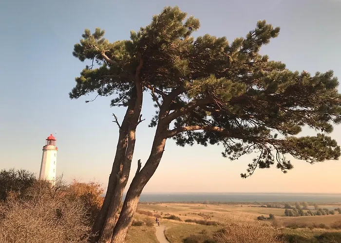 アパート Heinrich